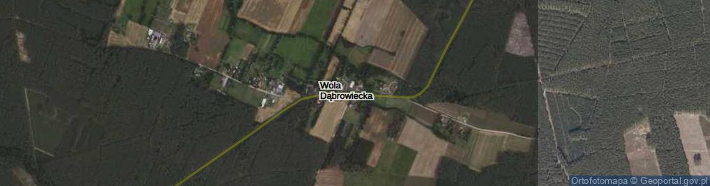 Zdjęcie satelitarne Wola Dąbrowiecka ul.